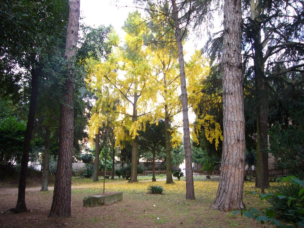 Villa Altieri Albano Laziale Luaran gambar