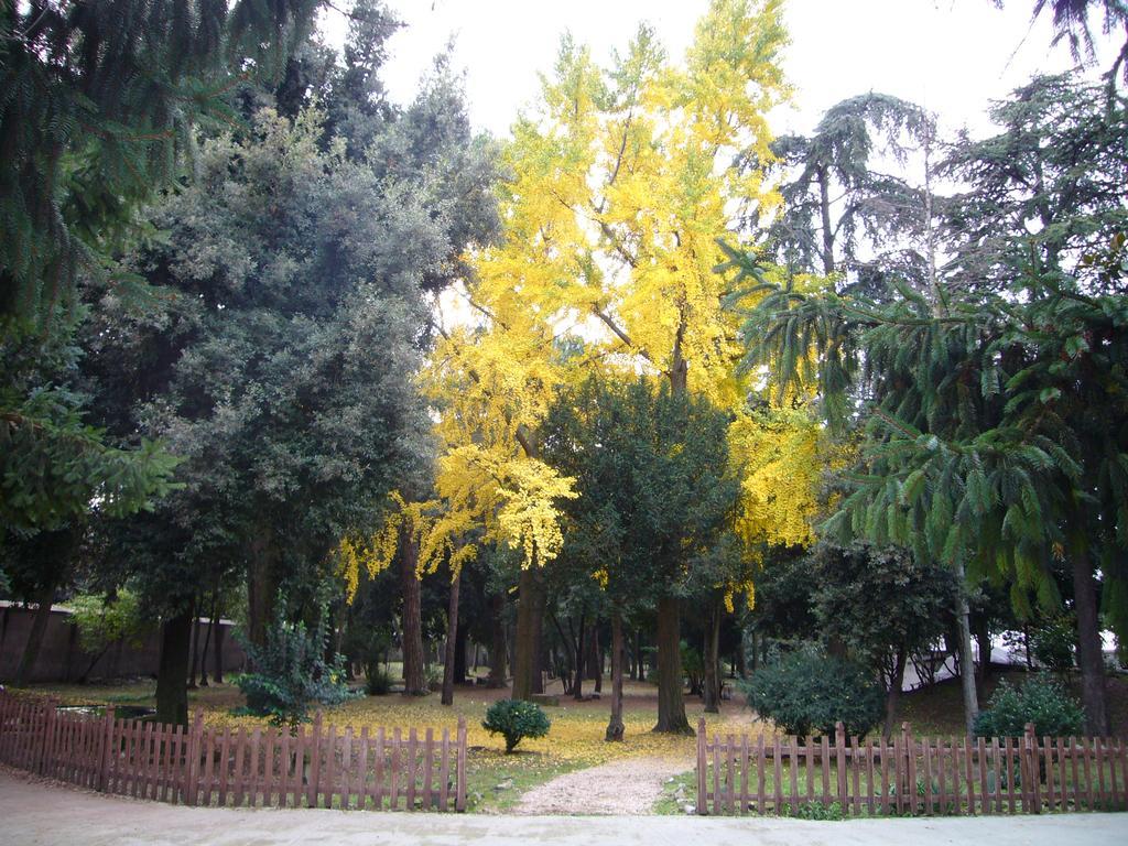 Villa Altieri Albano Laziale Luaran gambar