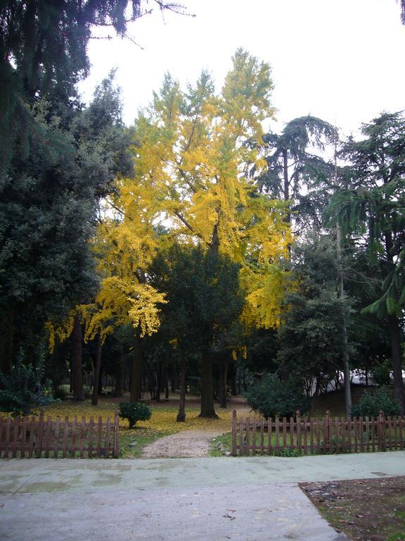 Villa Altieri Albano Laziale Luaran gambar