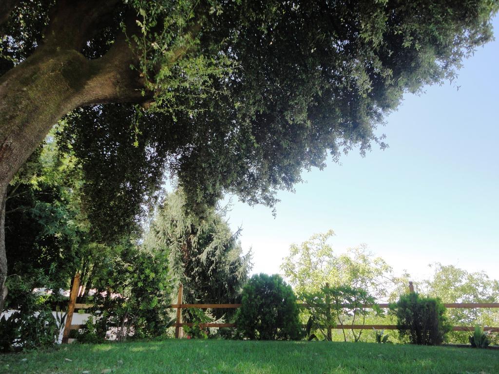 Villa Altieri Albano Laziale Luaran gambar